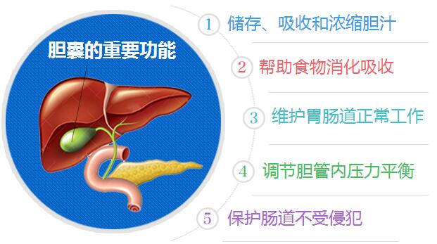 胆结石的治疗方法有哪些?该如何治疗好(图3)