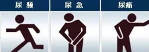 肾结石会在哪个部位造成疼痛？(图2)