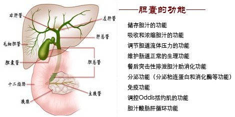 治疗胆结石好的方法——微创保胆取石术(图5)