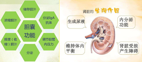 微创取石，保护器官功能，才是治疗结石的好方法(图3)