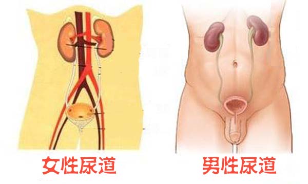 打结石到底好不好？(图6)