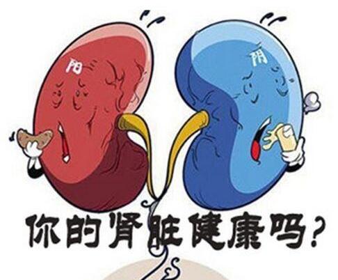 求支招！肾结石疼痛要怎么缓解？(图2)